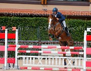 Montrone Finally One GioCav2013 S5 4186 : Campionati Italiani Giovani Cavalli, Cattolica, Finally One, Montrone Savio, ph Stefano Secchi ©